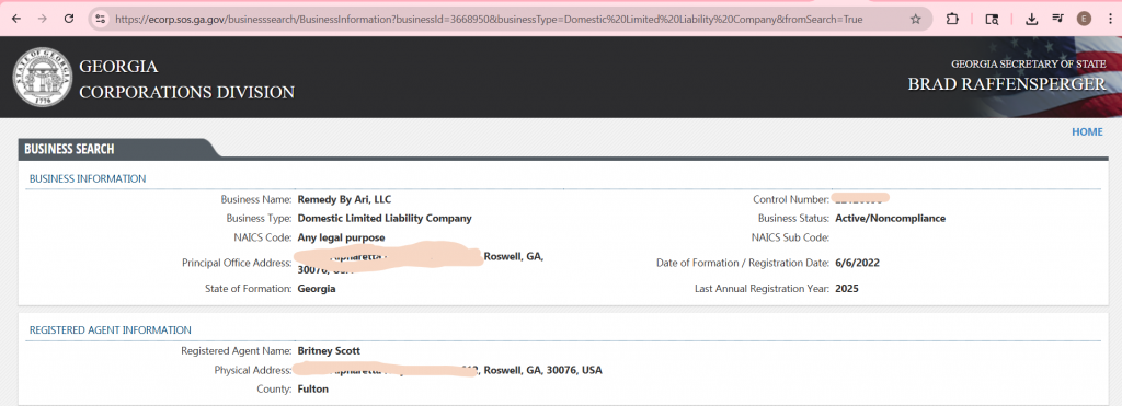 <strong>Georgia's Corporate Division Filing</strong>