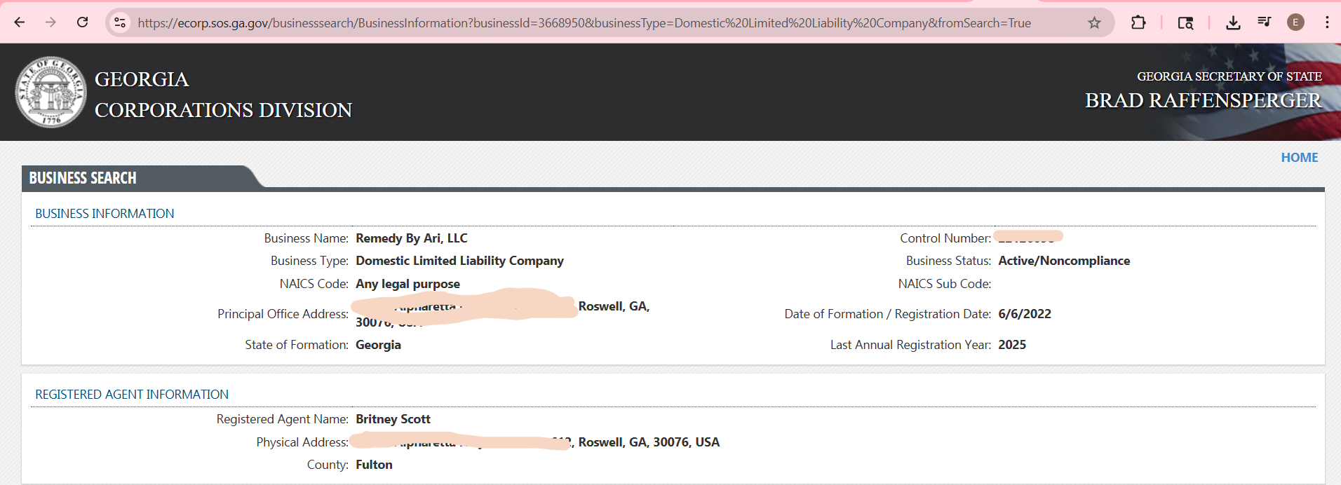 <strong>Georgia's Corporate Division Filing</strong>